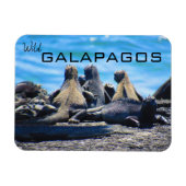 Galapagos-Leguane Magnet (Horizontal)