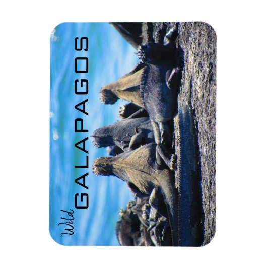 Galapagos-Leguane Magnet (Vertikal)