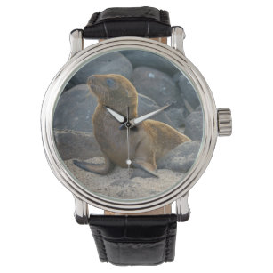 Galapagos-Löwe Armbanduhr