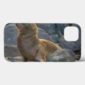Galapagos-Löwe Case-Mate iPhone Hülle (Rückseite (Horizontal))