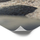 Galapagos-Löwe Poster (Ecke)