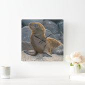 Galapagos-Löwe Quadratische Wanduhr (Zuhause)