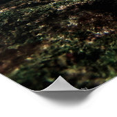 Galápagos-Meeresschildkröte mit sergeant Major Fis Poster (Ecke)