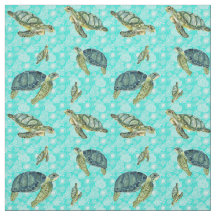 Galapagos-Meeresschildkröten