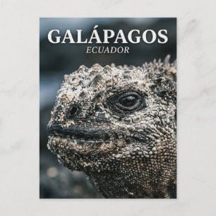 Galápagos-Nationalpark Ecuador Postkarte
