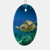 Galapagos-Paradies, grüne Meeresschildkröte unter Keramikornament (Rechts)