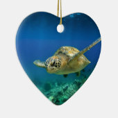 Galapagos-Paradies, grüne Meeresschildkröte unter  Keramikornament (Rechts)