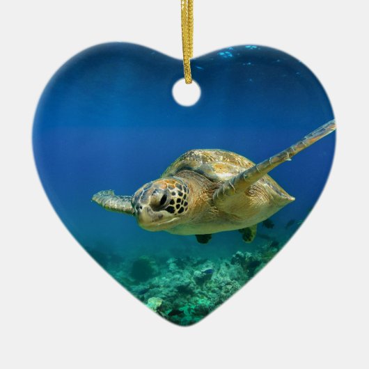 Galapagos-Paradies, grüne Meeresschildkröte unter Keramikornament (Vorne)