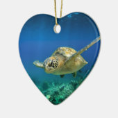 Galapagos-Paradies, grüne Meeresschildkröte unter Keramikornament (Links)