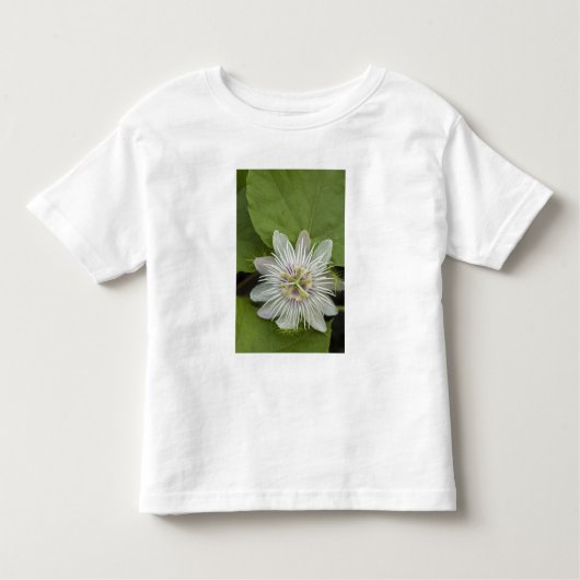 Galapagos Passion Blume Passiflora foetida Kleinkind T-shirt (Vorderseite)