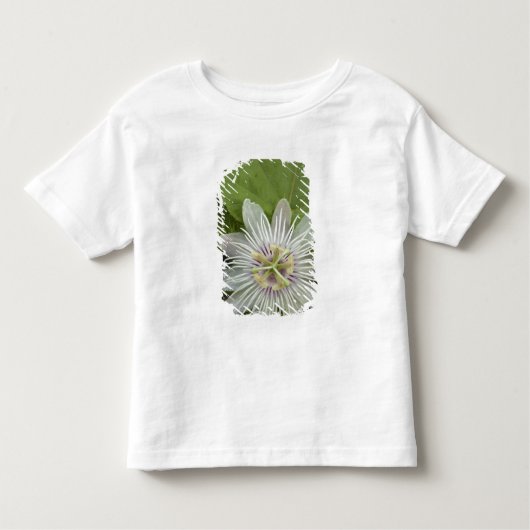 Galapagos Passion Blume Passiflora foetida Kleinkind T-shirt (Vorderseite)