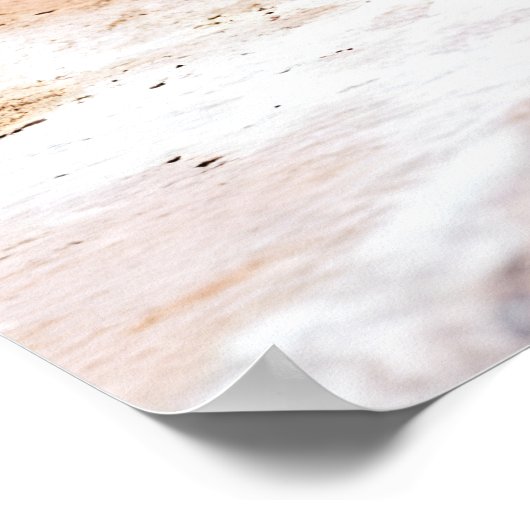 Galapagos-Pinguin Poster (Ecke)