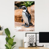 Galapagos-Pinguin Poster (Heimbüro)