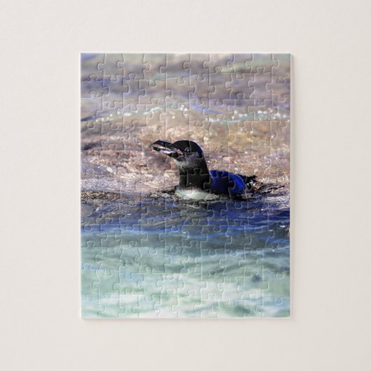 Galapagos-Pinguin schwimmen Puzzle (Vertikal)