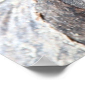 Galapagos Poster (Ecke)