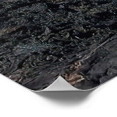 Galapagos Poster (Ecke)