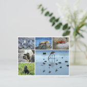 Galapagos Postkarte (Stehend Vorderseite)