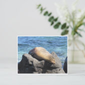 Galapagos Postkarte (Stehend Vorderseite)