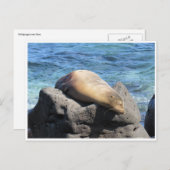 Galapagos Postkarte (Vorne/Hinten)