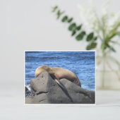 Galapagos Postkarte (Stehend Vorderseite)