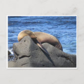 Galapagos Postkarte (Vorderseite)