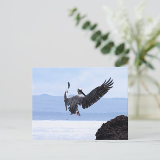 Galapagos Postkarte (Stehend Vorderseite)