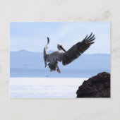 Galapagos Postkarte (Vorderseite)