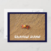 Galapagos Postkarte (Vorne/Hinten)