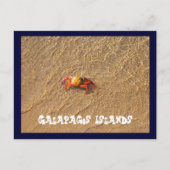 Galapagos Postkarte (Vorderseite)