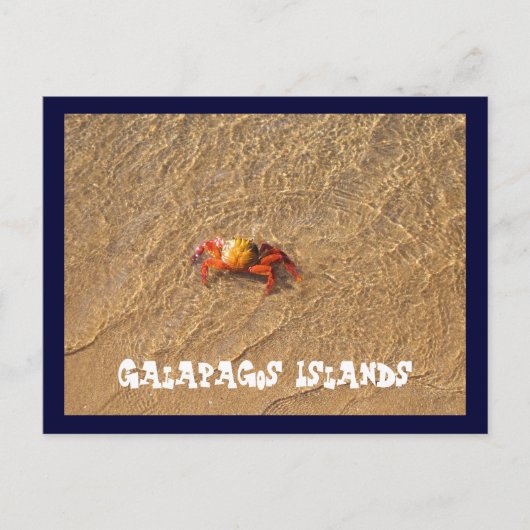 Galapagos Postkarte (Vorderseite)