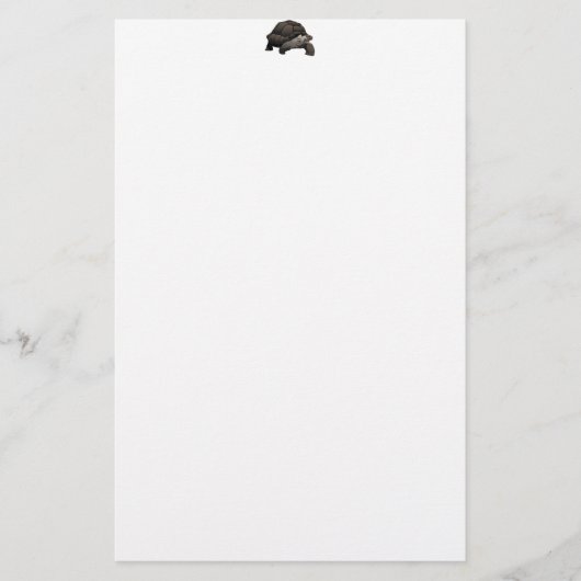 Galápagos/riesige Schildkröte Galapagos Briefpapier (Vorderseite)