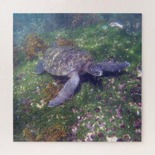 Galapagos-Schildkröte grün Puzzle