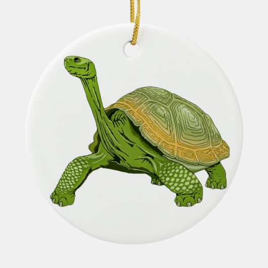 Galapagos-Schildkröte Keramik Ornament (Vorne)