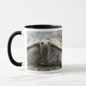 Galapagos-Schildkröten-Tasse Tasse (Links)