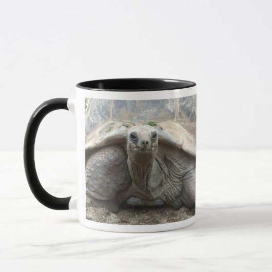 Galapagos-Schildkröten-Tasse Tasse (Links)