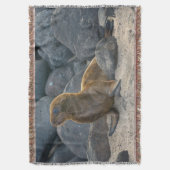 Galapagos Sea Lion Decke (Vorderseite Vertikal)