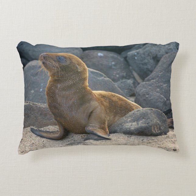 Galapagos Sea Lion Dekokissen (Vorderseite)