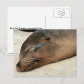 Galapagos Sea Lion Postkarte (Vorne/Hinten)