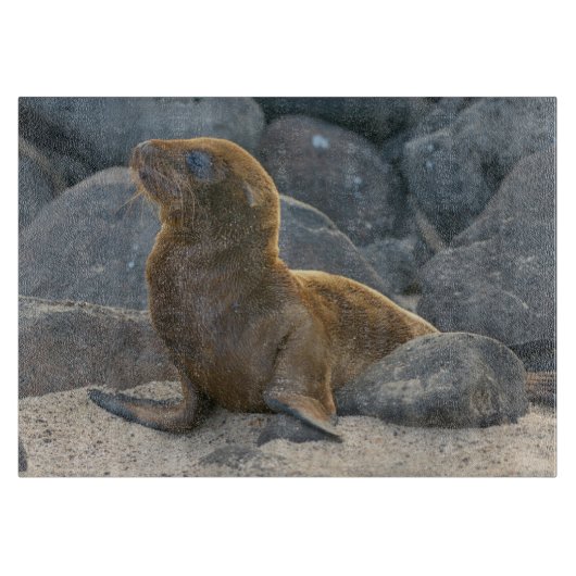 Galapagos Sea Lion Schneidebrett (Vorderseite)