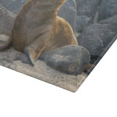 Galapagos Sea Lion Schneidebrett (Ecke)