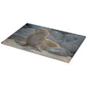Galapagos Sea Lion Schneidebrett (Ecke)