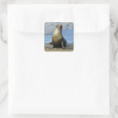 Galapagos Sea Lion Sticker 1 (Tasche)