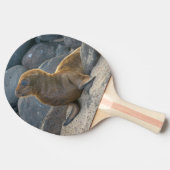 Galapagos Sea Lion Tischtennis Schläger (Seitenansicht)