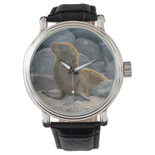 Galapagos-Seelöwe Armbanduhr