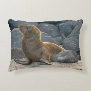 Galapagos-Seelöwe Dekokissen