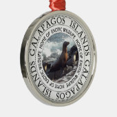 GALAPAGOS-SIEGEL RUND SILBERNES ORNAMENT (Rechts)