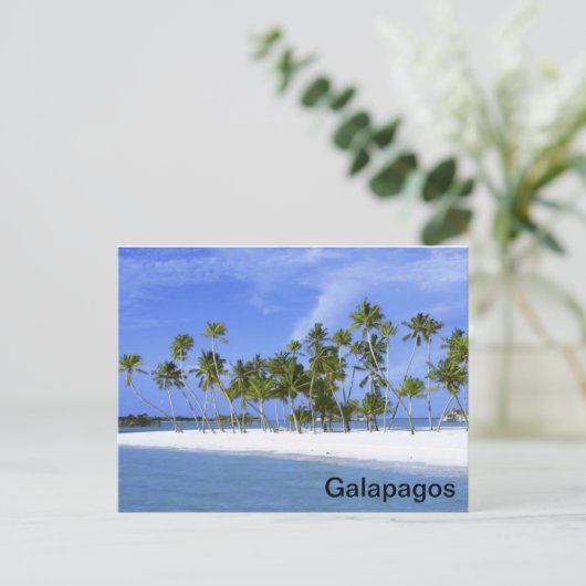 Galapagos - Strand Postkarte (Stehend Vorderseite)