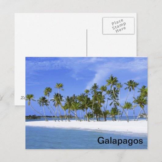 Galapagos - Strand Postkarte (Vorne/Hinten)