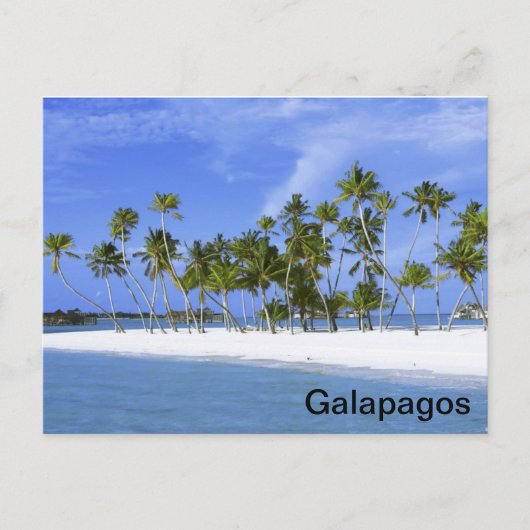 Galapagos - Strand Postkarte (Vorderseite)