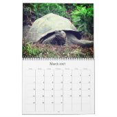 Galapagos-Tiere 2025 Kalender (Mär 2027)